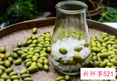 青橄榄怎么泡酒