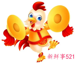 属鸡客厅摆什么植物好