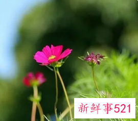 怎么样才可以放松心情好心态