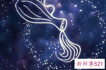 最懂爱的星座排行