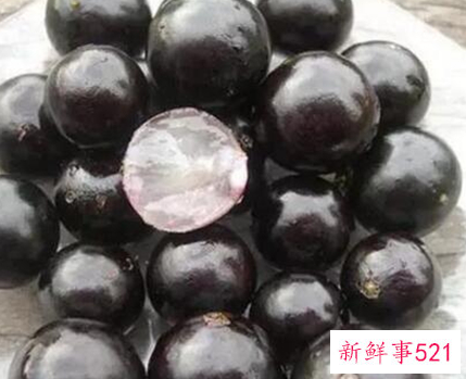 41种不常见的水果(图)