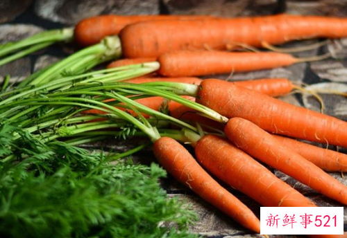 梦见满地胡萝卜是什么兆头