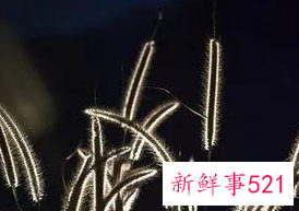 天蝎座的幸运数字是什么