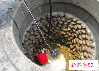 端午节打午时水