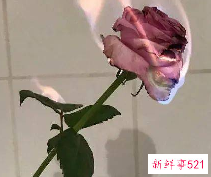 男情人约你是否该适当的拒绝