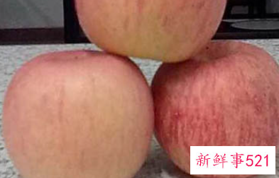 办公室白领减肥计划