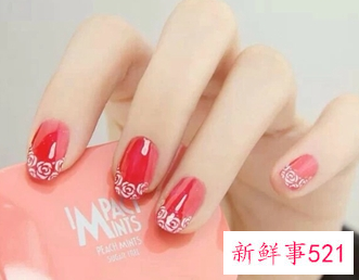 延长跟贴甲片有什么区别