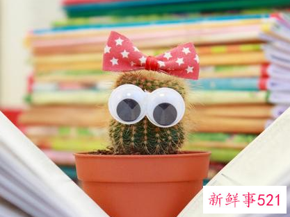 注定是学霸的几大星座