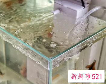 一进门门口右边放鱼缸