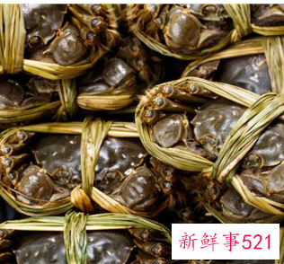 蟹对人体有害吗