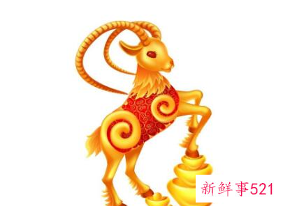 属羊的79年男今年婚姻怎么样