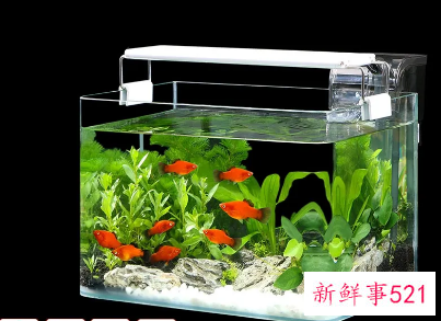 小鱼缸在家的位置