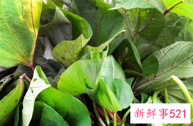 番薯叶的作用