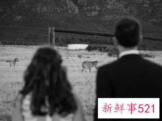 如果结婚是为了维持生计