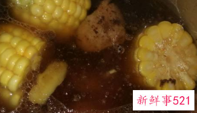 鹅肉怎么炖汤好喝