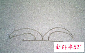 君子兰的简笔画