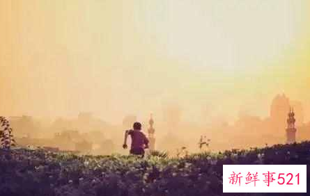 个人价值观体现方面