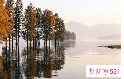 梦到非常漂亮的景色