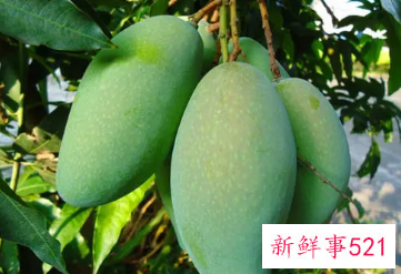 不太适合孕妇食用的水果