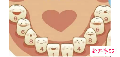 小儿换牙的顺序