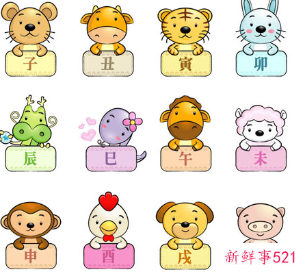 十二生肖最佳配对的表格