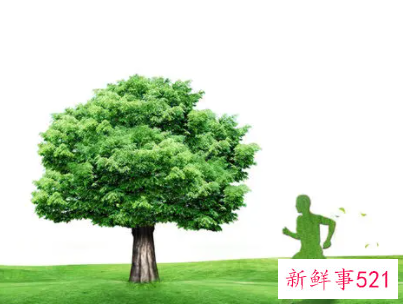 身体健康的具体标准