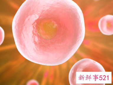 精子体外擦干净后存活时间