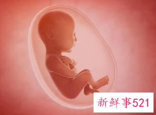 怀孕是9个月还是10个月