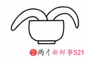 君子兰的简笔画