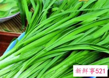 男不吃韭女不吃藕