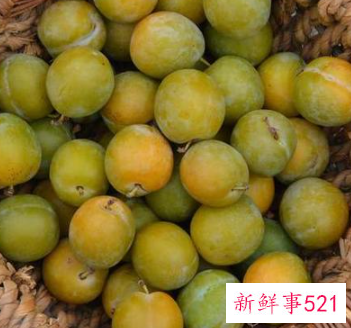 女人吃李子的功效和作用