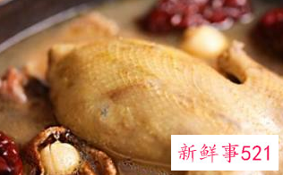 鸽子汤怎么炖营养补血