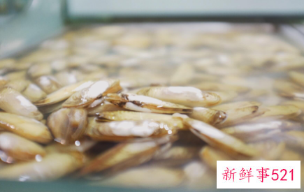 如何让蛏子吐沙