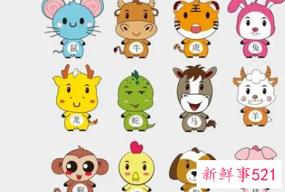 婚姻配对属相表