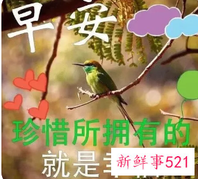 情人之间的早安问候语