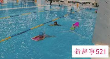 游泳是属于有氧运动吗