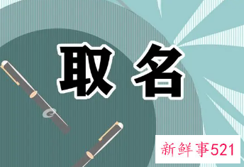 正规的起名一般根据什么起