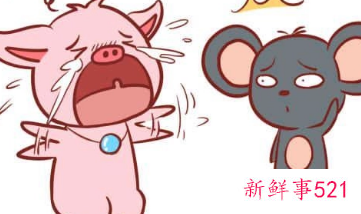 猪与鼠属相婚配好吗