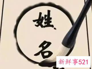 正规的起名一般根据什么起