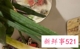 鸽子汤怎么炖营养补血