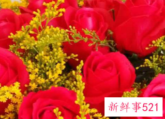 12朵粉玫瑰花语