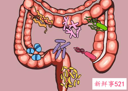 肠道功能紊乱能自愈吗
