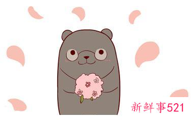 做饭最好吃的星座女排行榜