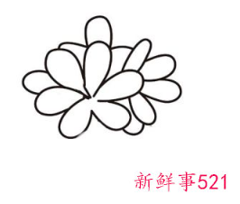 君子兰的简笔画