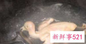 鸽子汤怎么炖营养补血