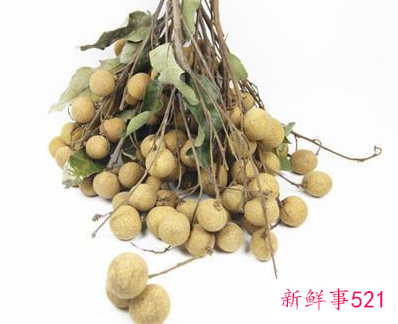 桂圆的营养和功功效