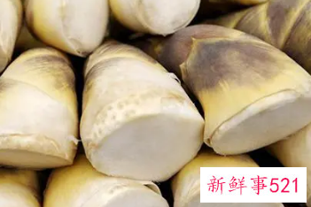 冬笋和什么炒搭配