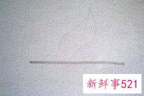 君子兰的简笔画