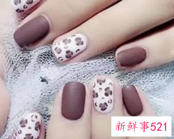 延长跟贴甲片有什么区别