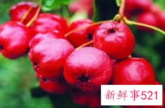 不太适合孕妇食用的水果